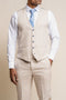 Cavani Caridi Men's Slim Fit Waistcoat